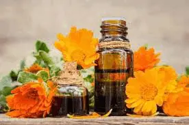 Arnica Montana Flower Extract